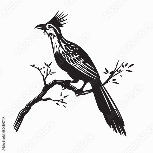 Hoatzin Bird Sitting on Tree Branch Vector Design on white background
