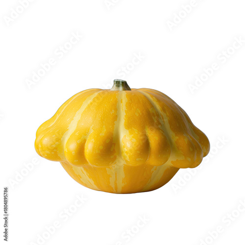 Yellow Pattypan Squash with Striped Pattern and Lobed Edges Isolated on Black Background Natural Harvest Vegetable Photography
