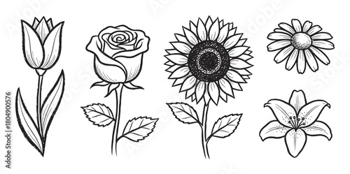A beautiful collection of hand-drawn flowers including a tulip, rose, sunflower, daisy, and lily, illustrated in a black and white sketchy line art style with textured outlines