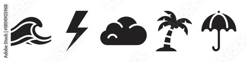 A collection of black weather and nature icons including a wave, lightning bolt, cloud, palm tree, and umbrella, presented in a clean, minimalist graphic style