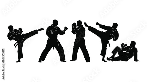 Martial arts combat silhouettes isolated on white background, Vector