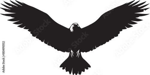 Eagle Silhouette Vector with Spread Wings – Flying Eagle Logo Design