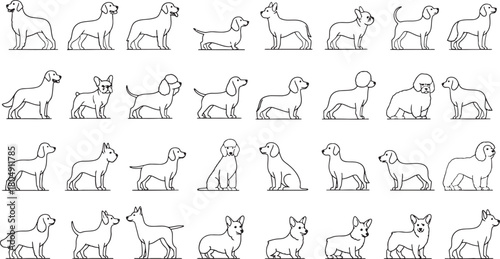 Diverse Dog Breeds Outline Seamless Pattern Vector Illustration Collection