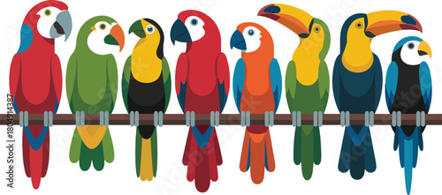 Colorful Parrots Toucans Birds Perched on Branch Avian Wildlife Tropical Rainforest Exotic Plumage Ornithology Biodiversity