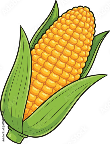 Corn cobs vector, corn cob icon, corn vector icon, corn silhouette vector illustration isolated on white background