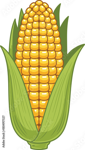 Corn cobs vector, corn cob icon, corn vector icon, corn silhouette vector illustration isolated on white background