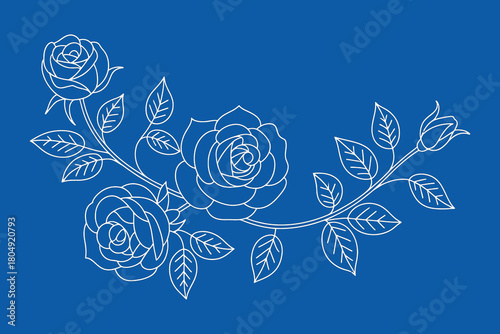 Elegant white rose vine illustration with delicate floral details on a deep blue background