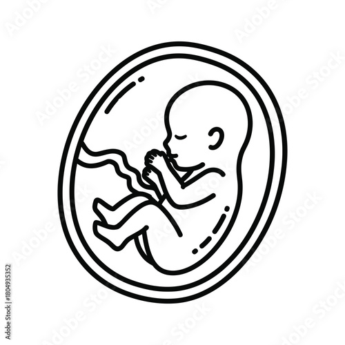 Line art illustration of fetus in amniotic sac isolated on