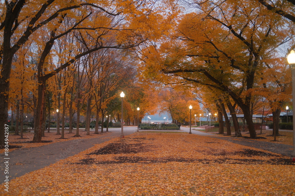 Naklejka premium Fall photo downtown Chicago October