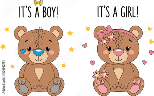 Cute cartoon teddy bears baby gender reveal announcement, it's a boy and it's a girl, nursery art, flat vector illustration