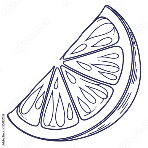 Illustration of a slice of orange isolated on