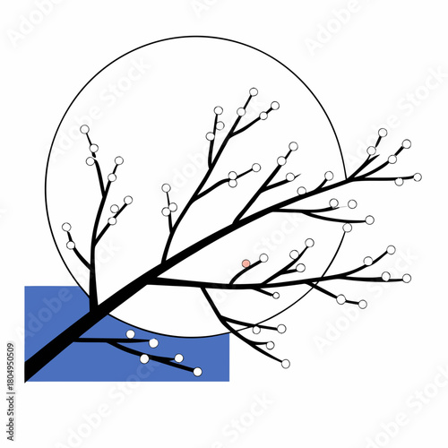 Minimalist branch with white buds isolated on in the spring