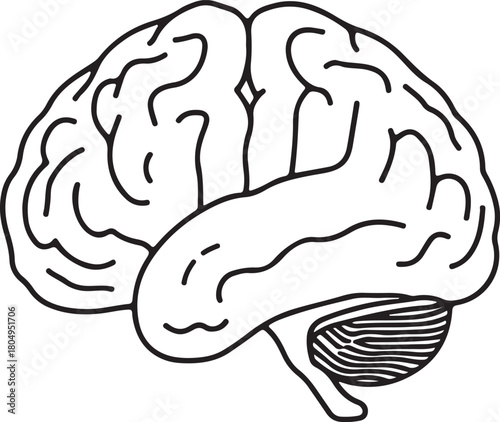 Black and white line drawing of a human brain in profile view showing the cerebrum and cerebellum