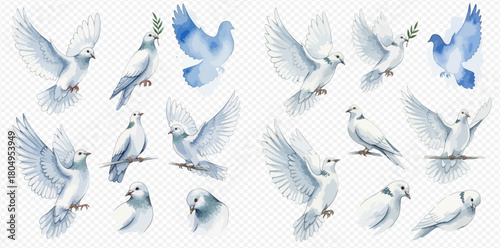 A collection of watercolor white and blue doves in various poses, including flying, perched, and holding an olive branch, on a transparent background.
