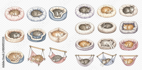 The image shows many illustrations of sleeping cats in different types of beds and hammocks, featuring various colors and designs.
