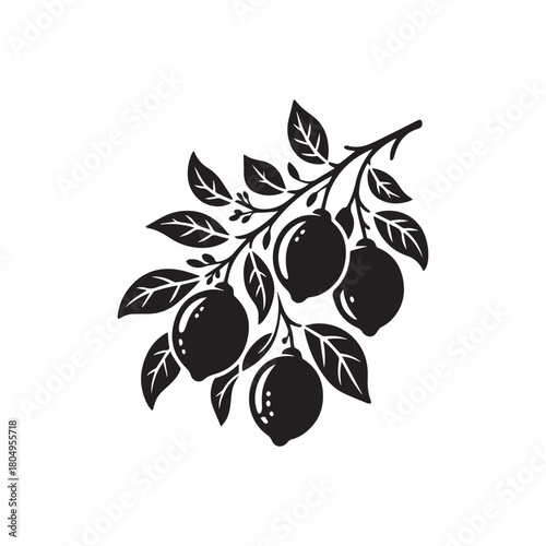Black silhouette vector illustration of two lemons on a branch with leaves isolated design element