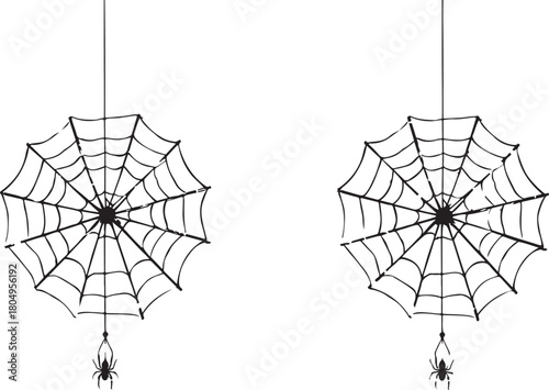 Two black hand-drawn spider webs with spiders hanging by a thread on a white background insect arachnid
