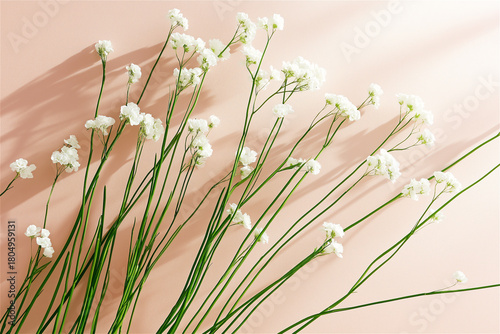 Delicate white flower stems arranged elegantly against soft pink background, creating minimalist botanical composition with subtle, ethereal aesthetic and natural grace.