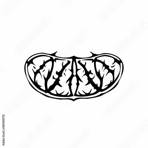 A section of an orange isolated on is shown in detail