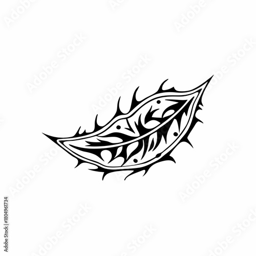 A single leaf isolated on is displayed in a detailed view