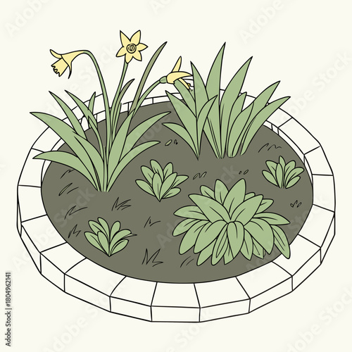 Illustration of a circular flower bed with daffodils and other plants