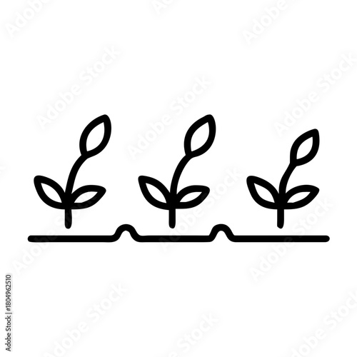 Three seedlings growing in a row isolated on