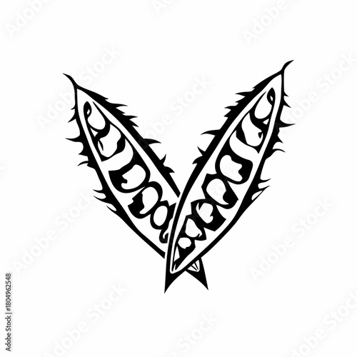 Two open pea pods with seeds isolated on are displayed