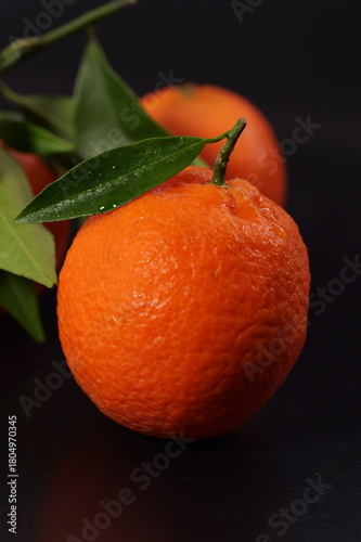 Wallpaper Mural Primo piano di Clementina con foglia su sfondo nero Torontodigital.ca