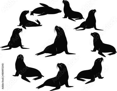 Sea Lion and Seal Black Silhouette Collection Vector Illustrations of Marine Animals in Various Poses