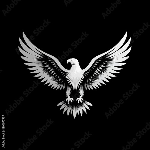 White eagle with wings spread, facing forward on a black background