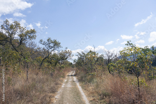 Keep on Trail