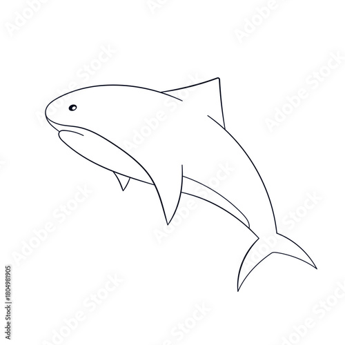 Shark in line art style isolated on a white background.