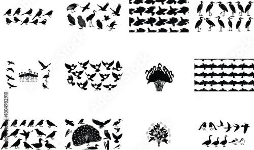Diverse bird silhouettes collection birds flock