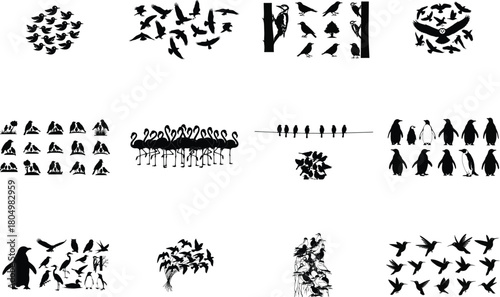 Diverse bird silhouettes in various poses and groups