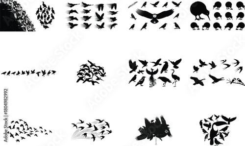 Diverse collection of bird silhouettes birds flying