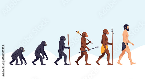 Illustration of human evolution from ape-like ancestors to modern man.