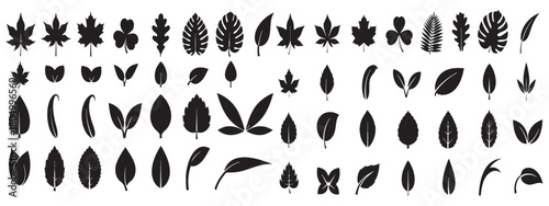Collection of diverse botanical leaf silhouettes