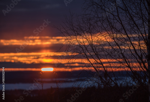 Sunset colours in the clouded sky behind tree branches over forested lake landscape in winter in Finland