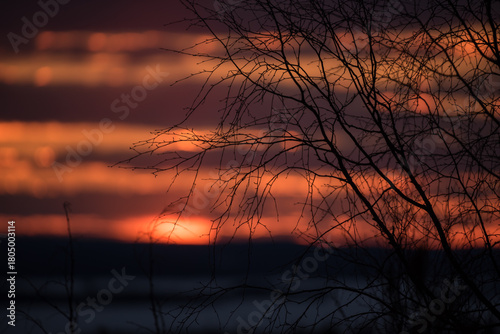 Sunset colours in the clouded sky behind tree branches over forested lake landscape in winter in Finland