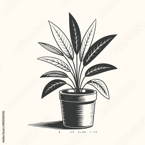 Vector illustration of a potted houseplant with green leaves, perfect for home decoration and gardening design