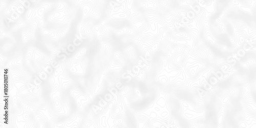 White wave paper curved reliefs abstract background, Abstract topographic contours map background. digital topographic contour map concept space geometric strip grid line. Natural discovery of maps.