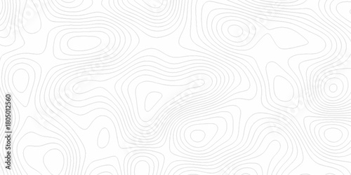 White wave paper curved reliefs abstract background, Abstract topographic contours map background. digital topographic contour map concept space geometric strip grid line. Natural discovery of maps.
