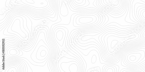 White wave paper curved reliefs abstract background, Abstract topographic contours map background. digital topographic contour map concept space geometric strip grid line. Natural discovery of maps.