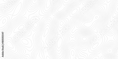 White wave paper curved reliefs abstract background, Abstract topographic contours map background. digital topographic contour map concept space geometric strip grid line. Natural discovery of maps.
