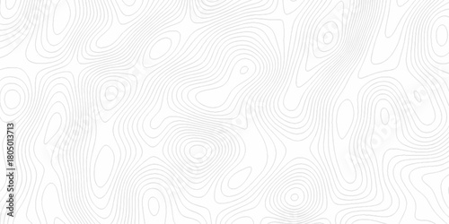 White wave paper curved reliefs abstract background, Abstract topographic contours map background. digital topographic contour map concept space geometric strip grid line. Natural discovery of maps.
