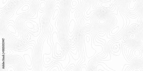 White wave paper curved reliefs abstract background, Abstract topographic contours map background. digital topographic contour map concept space geometric strip grid line. Natural discovery of maps.