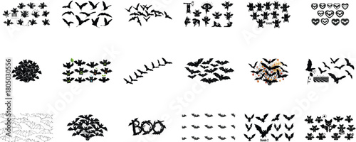 Flying creatures musical performance and yoga poses