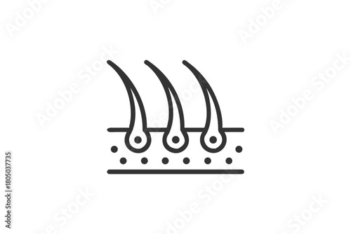 Outline Hair Follicle Anatomy Icon Representing Hair Growth Dermatology Science and Health