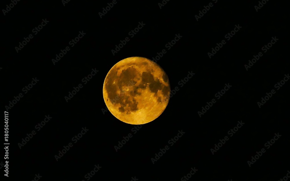 Obraz premium Full moon surface shine on dark sky astronomy background, close macro detail