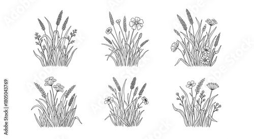 Collection of six hand-drawn bundles of wild grass and small flowers in black and white line art, ideal for botanical designs.